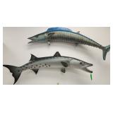 Baracuda Taxidermy