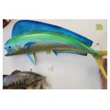 Tuna Fish Taxidermy