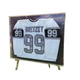 Wayne Gretzky Framed Autographed Hockey Jersey