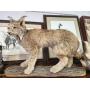 The Super Auction - Sporting Goods, Mounts, Hunting and Fishing