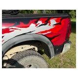 Rear Quarter Graphic