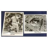 Detroit Tigers Media Photographs