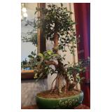 Artificial Banyan Tree - Ornamental