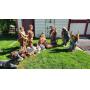 Incredible Saginaw, Michigan Mansion Online Auction w/ Antiq