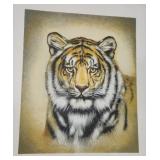 3 Exotic Cats of the World Artist Proofs- Katon