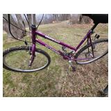 Schwinn High Plains Girls Bicycle