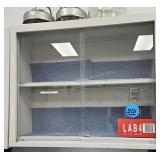 Wall Mounted Laboratory Storage Cabinet