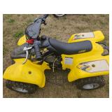 LEM Condor ATV Four Wheeler