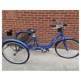 Schwinn Meridian 3-Wheel Bicycle
