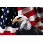 Annual Memorial Day Online Auction