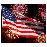 Annual Independence Day Online Auction