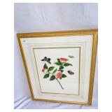 PRINT BUTTERFLY AND FLOWERS GOLD INNER MAT 34H X