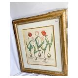 GOLD FRAME AND INNER MAT BULB PLANTS TULIPS 33X29