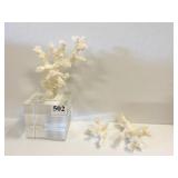 LUCITE WITH CORAL 2 DAMAGED PIECES 9IN H