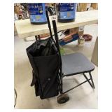 SHOPPING CART W/ SEAT FOLDS UP