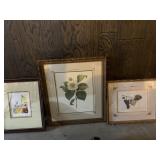 PRINTS FRAMED