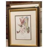 "THE HUMMINGBIRD ON BROMELIAD BY MARK SIDE, THE