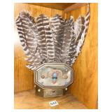 TURKEY FEATHERS IN BRASS BOX W/ MULTI COLOR