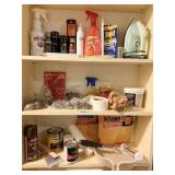 BLACK AND DECKER IRON, SHOE CARE ITEMS, PEST