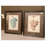 18X22 FRAMED AND MATTED PRINTS OF GRAPES IN