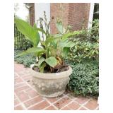 CEMENT PLANTER 12 INCHES HIGH WITH PLANT