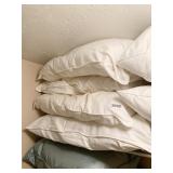 6 DOWN PILLOWS