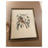 FOX COLORED FHRUFH 23" X 18"