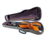 VIOLIN ANTONIUS STRADIVARIUS DO NOT SEE ANY