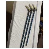 FISH WALKING STICK, TIMES 3