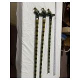 HUMMINGBIRD WALKING STICK, TIMES 3