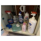 LYSOL, SOFT SCRUB, HAND SOAP