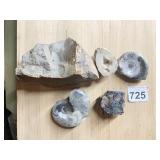 ANCIENT FOSSILS, NATURALLY OCCURRING GEODES,