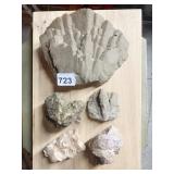 5.5" LARGE FAN SHAPED MINERAL DEPOSIT, NATURAL
