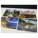 PROFESSIONALLY DONE PHOTOGRAPHS