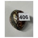 SEASHELL TRINKET BOX WITH STERLING SILVER TRIM