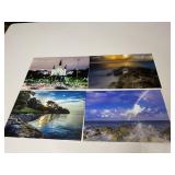 PROFESSIONALLY DONE PHOTOGRAPHS