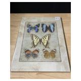 GLASS BUTTERFLY WALL HANGING