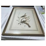 JOHN JAMES AUDUBON PRINT OF THE HERMIT THRUSH -