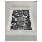 33X25.25 LEGRANDE CIRQUE 8 OF20