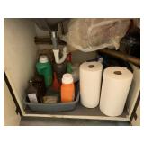 CONTENTS IN THE CABINETS UNDER BOTH SINKS