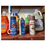 SPRAY & WASH, DISH SOAP, ETC. NEW