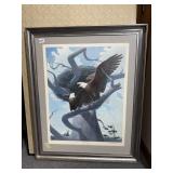 BALD EAGLE - HALLAEETUS LEUCOCEPHALUS SIGNED