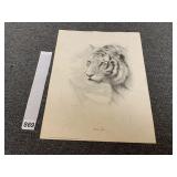 HEY CORTANA SIBERIAN TIGER BY CHARLES FRANCE 1979