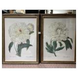 RAZ IMPORTS - PAIR OF BOTANICAL PRINTS,