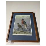 AUDUBON PRINT - PASSENGER PIGEON, FRAMED, MATTED
