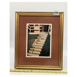 PHOTOGRAPH - CATNAPPING BY C. REECE - MATERIALS:.