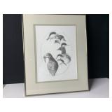 FRAMED ORNITHOLOGICAL PRINT - ATLANTIC SEABIRDS