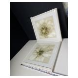 TO LIGHT SCREEN PRINTS WITH BLOOMING FLOWERS AND