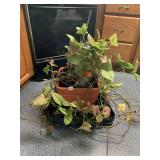 POTTED HOUSEPLANTS - ASSORTED VARIETIES IN