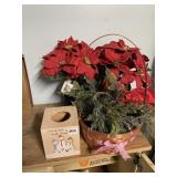 POINSETTIA PLANTS W/ DECORATIVE BASKET & TISSUE
